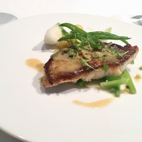 ル　ピニョン - お魚:三河産マトダイのソテー