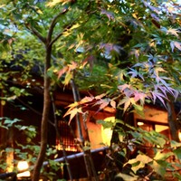 黒茶屋 - 