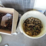 手打そば まちだ - 畑の菊芋