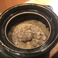 金舌 白金 - 
