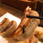 荏原町 しなてつ - 餃子アップ。好きなタイプの餃子ちゃん。