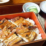 Unagi Tansui - うなぎ重箱（上・4428円）（2017/8）