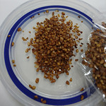 柏原商店 - 信州名産　「そば茶」