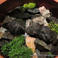 YAKINIKU 37west NY - 