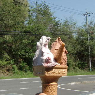 徳山牧場 アイス工房_0