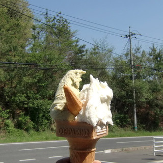 徳山牧場 アイス工房_1