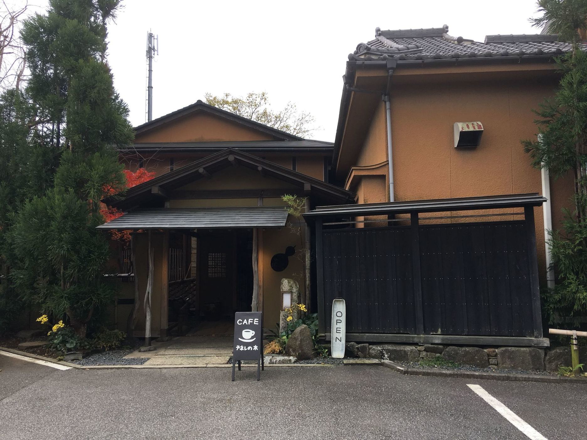 テネレの木 name=