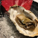 ristorante ANDREA - 