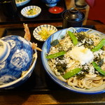 戸隠そば - 天丼と磯おろしのセット