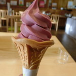 お食事処 なないろ樫 - 料理写真:奥大山ブルーベリーソフトクリーム