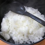 祖谷観光旅館 - 