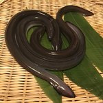 鰻はし本 - 石川さんの3番仔