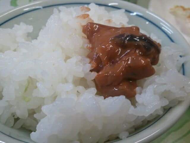 民宿海鳳 - 最知（旅館・民宿）の写真