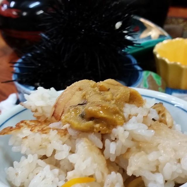 民宿海鳳 - 最知（旅館・民宿）の写真