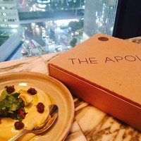 THE APOLLO - 
