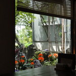 蕎麦切り　こばやし - 