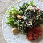 アダージオ - ブルスケッタ付きのサラダ。ブルスケッタが付いてるのがなかなかにくい心遣い。