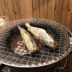 ホルモンしち弥  - 