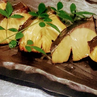 プラチナフィッシュ Ex_0