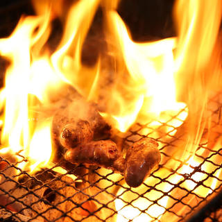 宮崎の地鶏 トロモモ_2