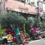 長寿庵 - 向かいのおシャレな花屋さん wacoの2畳間の部屋に観葉植物置こうかな♪