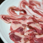 かたつむり - 2017.11 イノシシ、アナグマ