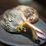 かたつむり - 2017.11 揖斐川の雌の真鴨の頭部