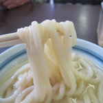 釜あげうどん 長田 in 香の香 - 麺のアップ　口当たり最高！