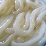 釜あげうどん 長田 in 香の香 - 見よこの艶、ヌルヌル、モチモチ、美味い！
