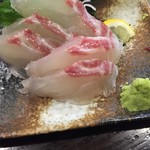 魚参 - 