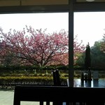 レストランからの眺め♪