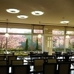 レストラン内♪