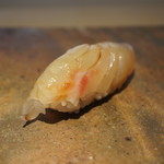 菊鮨 - 鯛