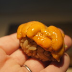 菊鮨 - バフン雲丹