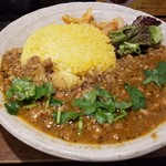 SPICY CURRY 魯珈 - シャヒジーラキーマ～香菜を添えて～