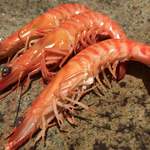 ＳＩＬＩＮ 火龍園 - 