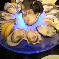 MAIMON GINZA - 