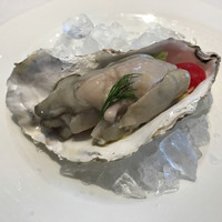 KINOE - 