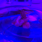 グランド ダイア - 