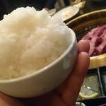 SATOブリアン - 御飯大盛りで！！別途