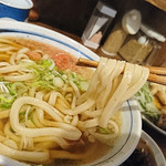 中屋 - かけうどん