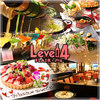 LEVEL4