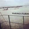 Marine＆Farm　SAJIMA