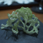 セララバアド - 