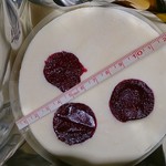 カンラクヤ カフェ - 料理写真:レアチーズケーキ1080円　未食です