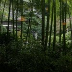 葉山 日影茶屋 - 店内からの中庭の眺め