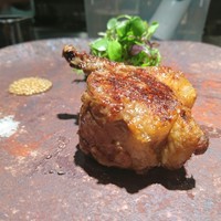 TACUBO - 