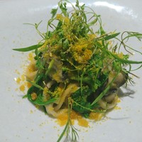 TACUBO - 
