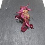 クイントカント - 馬肉のタルタル 赤玉ねぎとカシス