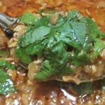 SPICY CURRY 魯珈 - 限定カレー（シャヒジーラキーマ～香菜を添えて～）のアップ